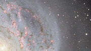 Pan on the Southern Pinwheel Galaxy